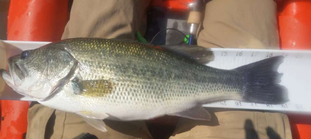 20180517_3_8lb.thumb.jpg.6d4fd0909815f3fd65ab4098b8ee9ad5.jpg