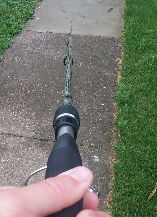20180521_122024.thumb.jpg.b7b6562faf1c766a67ed6d090ee3a14f.jpg