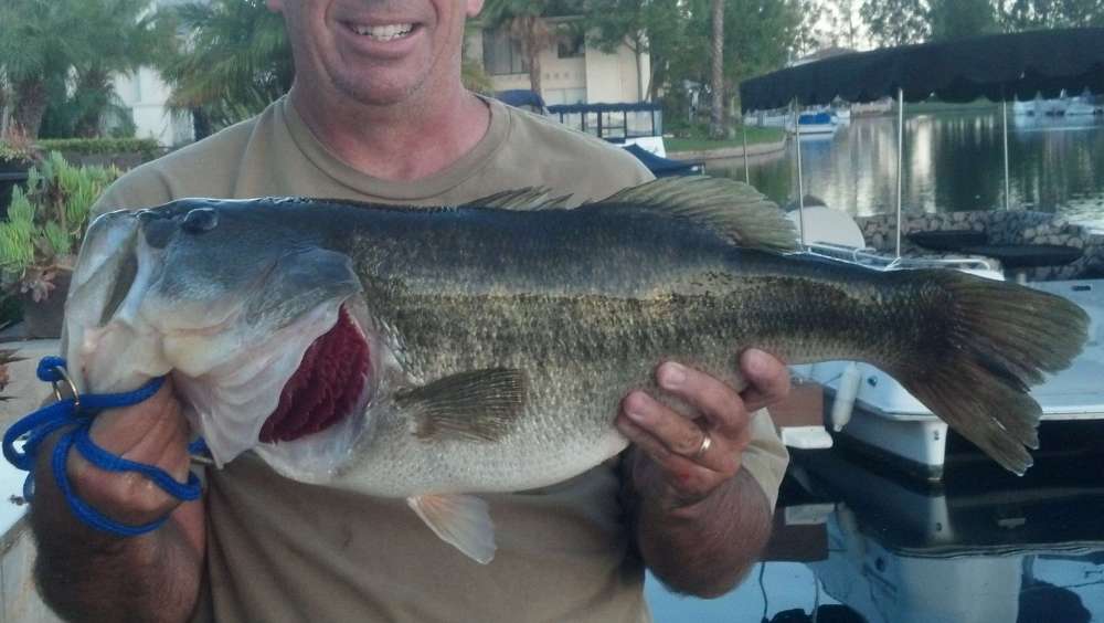 8 lb bass 8-17-14 fish only.jpg