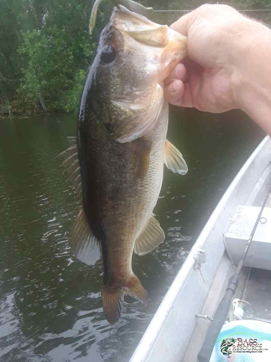 20180513_172653-966x1288.jpg