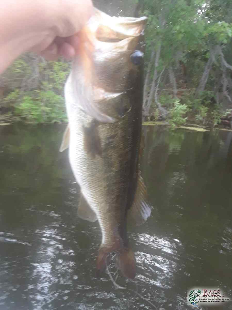 20180513_175533-966x1288.jpg