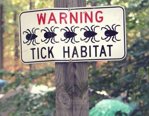 1899273305_ticksign.jpg.07c9025a9cab85a56a78d8c87b903d37.jpg