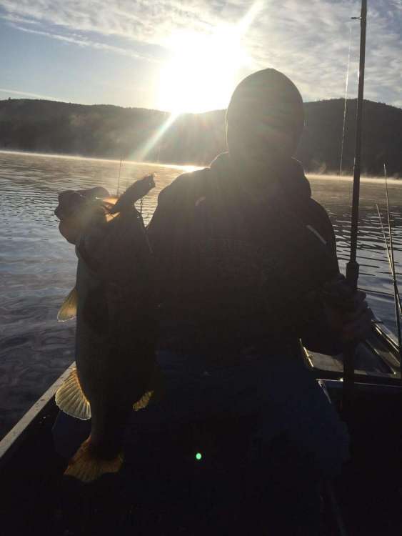 783419843_unnamed(9).thumb.jpg.1c6f29b263d64868015a1886a6755517.jpg