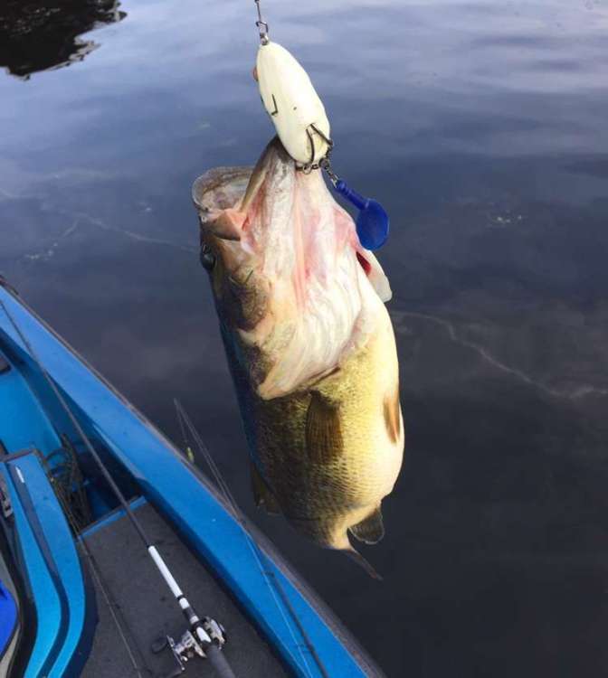 Crankbaits or Frogs? Fishing Tackle Bass Fishing Forums