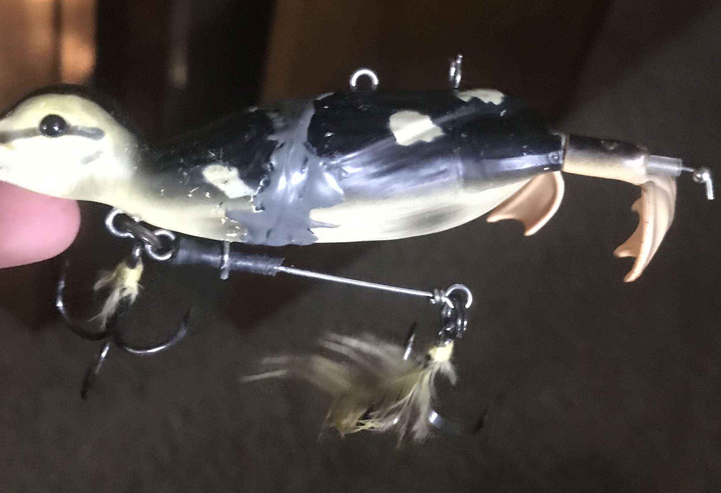 They ARE crazy but i like it! - Fishing Tackle - Bass Fishing Forums