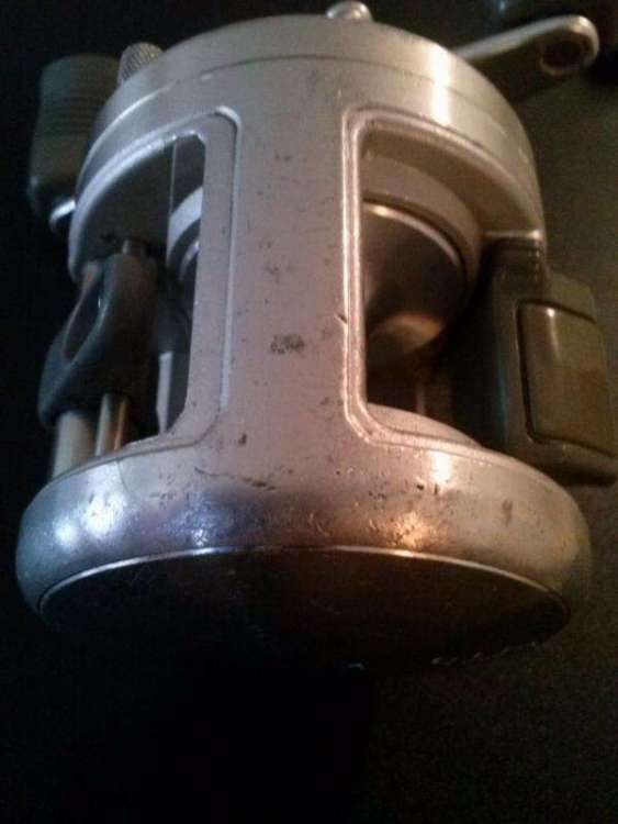 CAM00095_zpsfc9ebd15.jpg