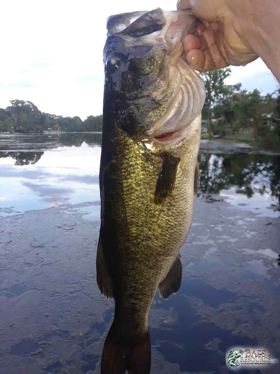 20180629_201336-966x1288.jpg