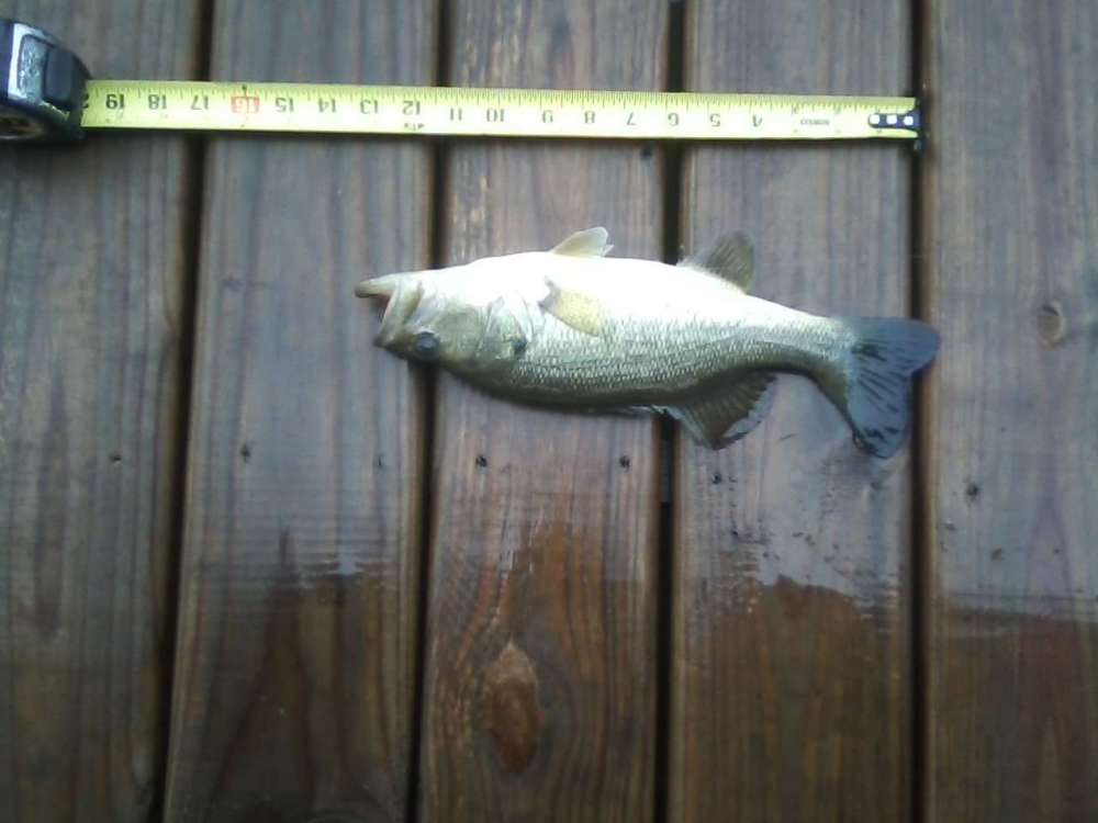 Bigger LMB 022218.jpg