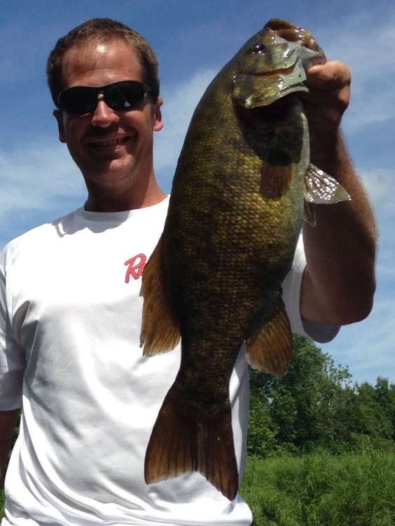 7-18-18 toad.jpg