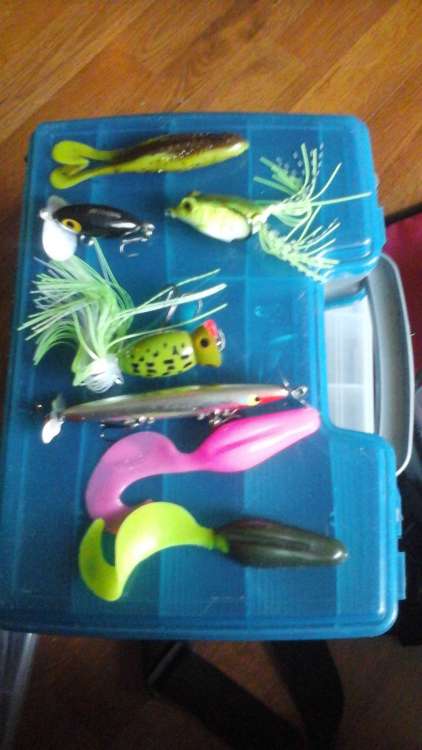 20180709_071241.jpg