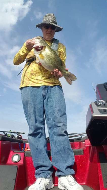 556026670_lacygne7_11.thumb.jpg.02db83645f9d13b254b577a82fb0875b.jpg
