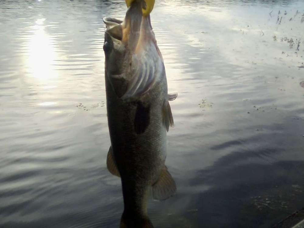070618 Fish 2.jpg
