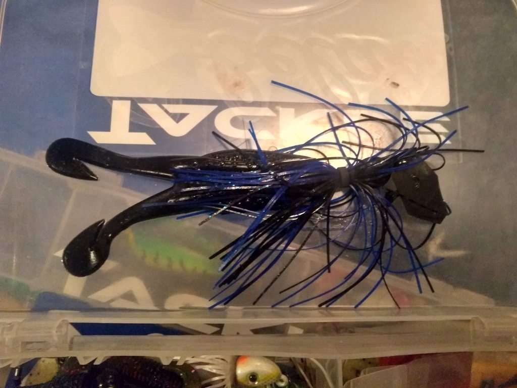 Anyone ever use Horny Toads as chatterbait trailers? - Fishing Tackle -  Bass Fishing Forums