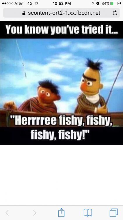 IMG_2626.png