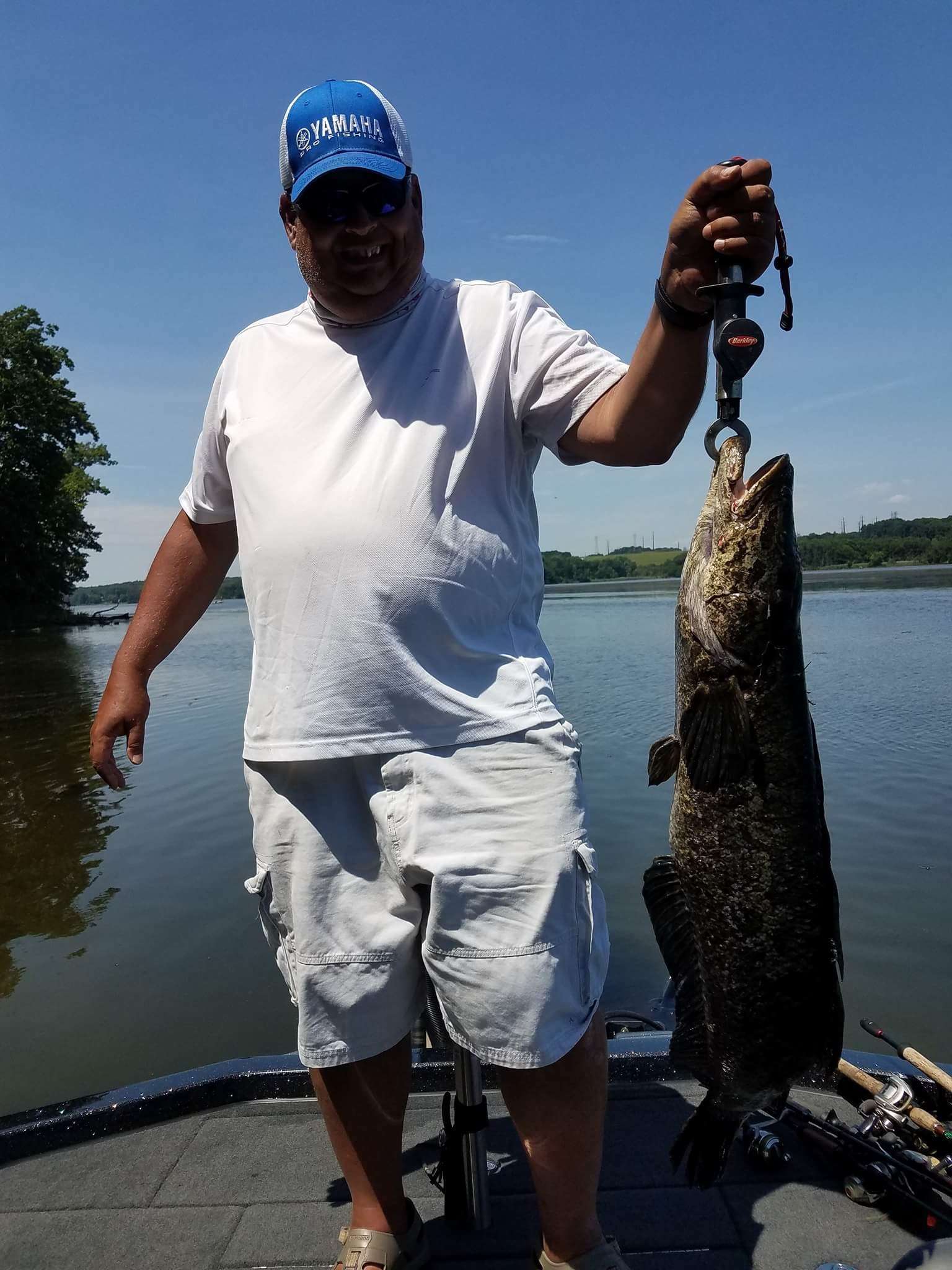 Does Maryland still offer bounties for snakeheads - Northeast Bass