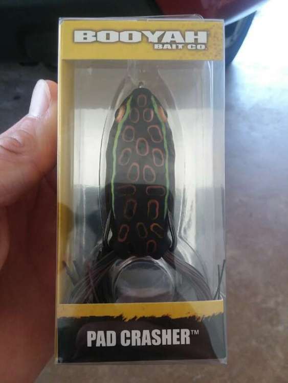 15341957838060.jpg