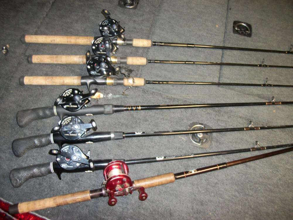 LEWS 001.jpg