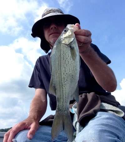 1979866313_FullSizeRender(72).jpg.e2f275a003c5123d3d39aa5fbeec16d0.jpg