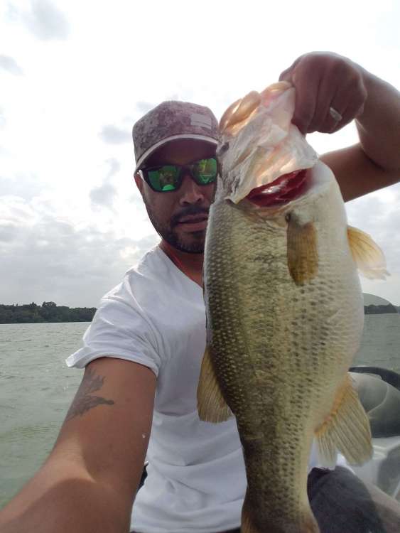 20180823_154445.thumb.jpg.251cb3ca31c3d1318218b84f74df55df.jpg