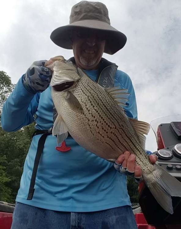 20180826_103844.thumb.jpg.ac981a93d60dcd2cf9e7341a4ffc6c44.jpg
