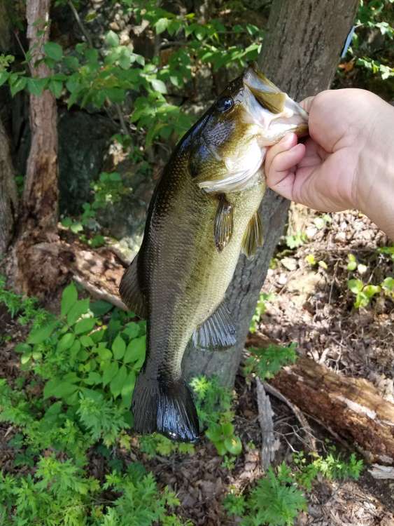 20180826_132057-1512x2016.thumb.jpg.2ef41140be7be752f67b0e6afeaca3c9.jpg