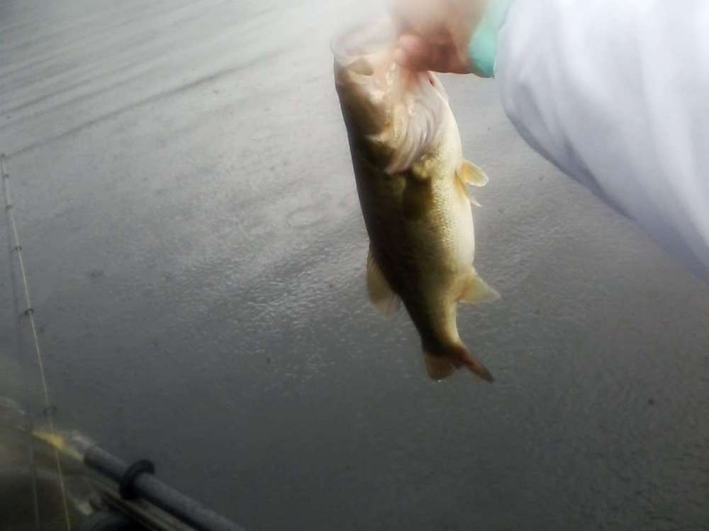081118 LMB 5.jpg