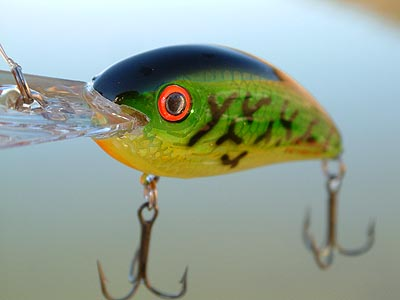 image.png.d4904518bf74a95aa21f57bc6db689c1.png