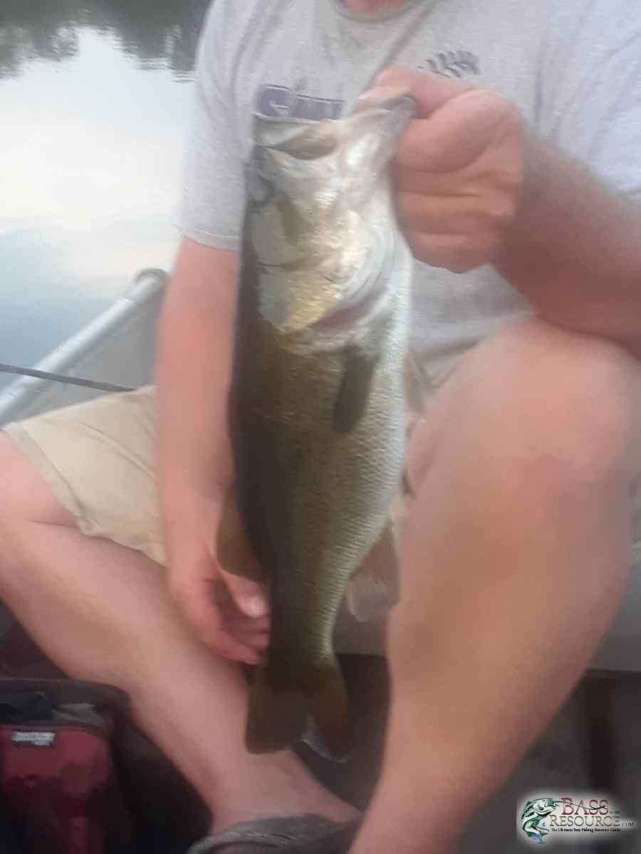 20180825_194651-966x1288.jpg
