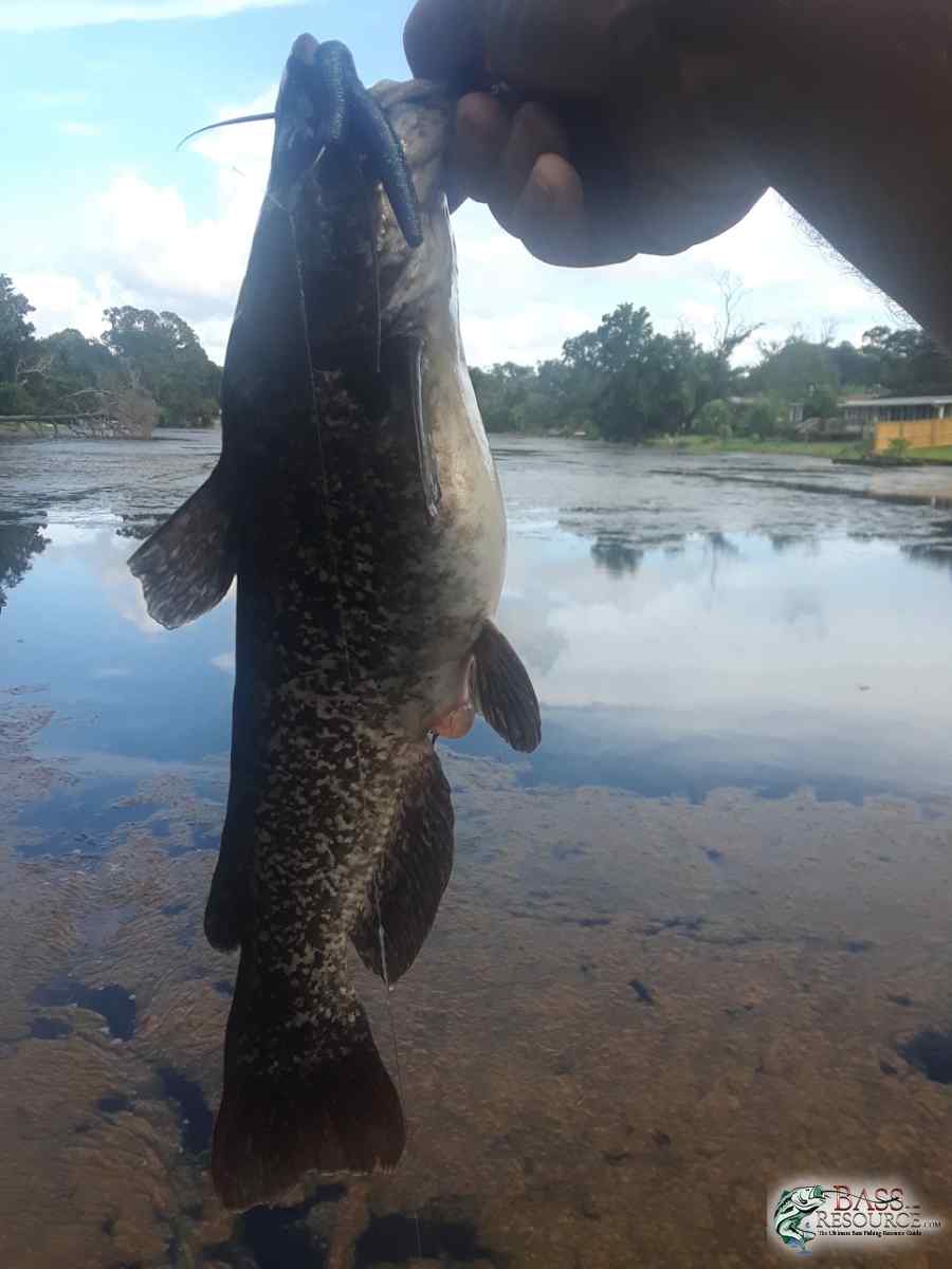 20180826_172621-966x1288.jpg