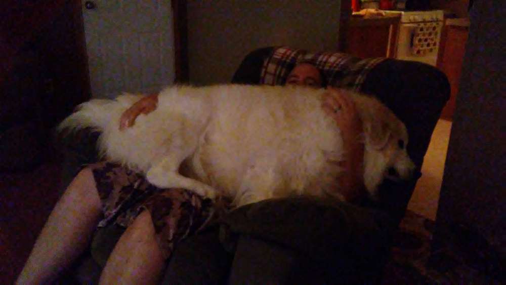 20180908_231821.jpg