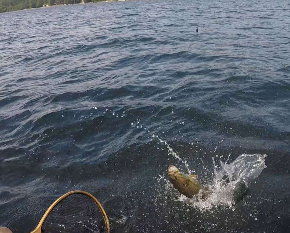 smallie2.jpg