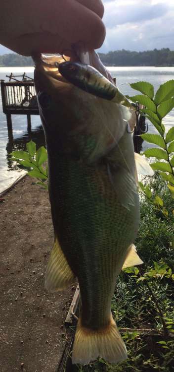E19AA191-7F64-4FA8-BC86-374ACC40800A.jpeg