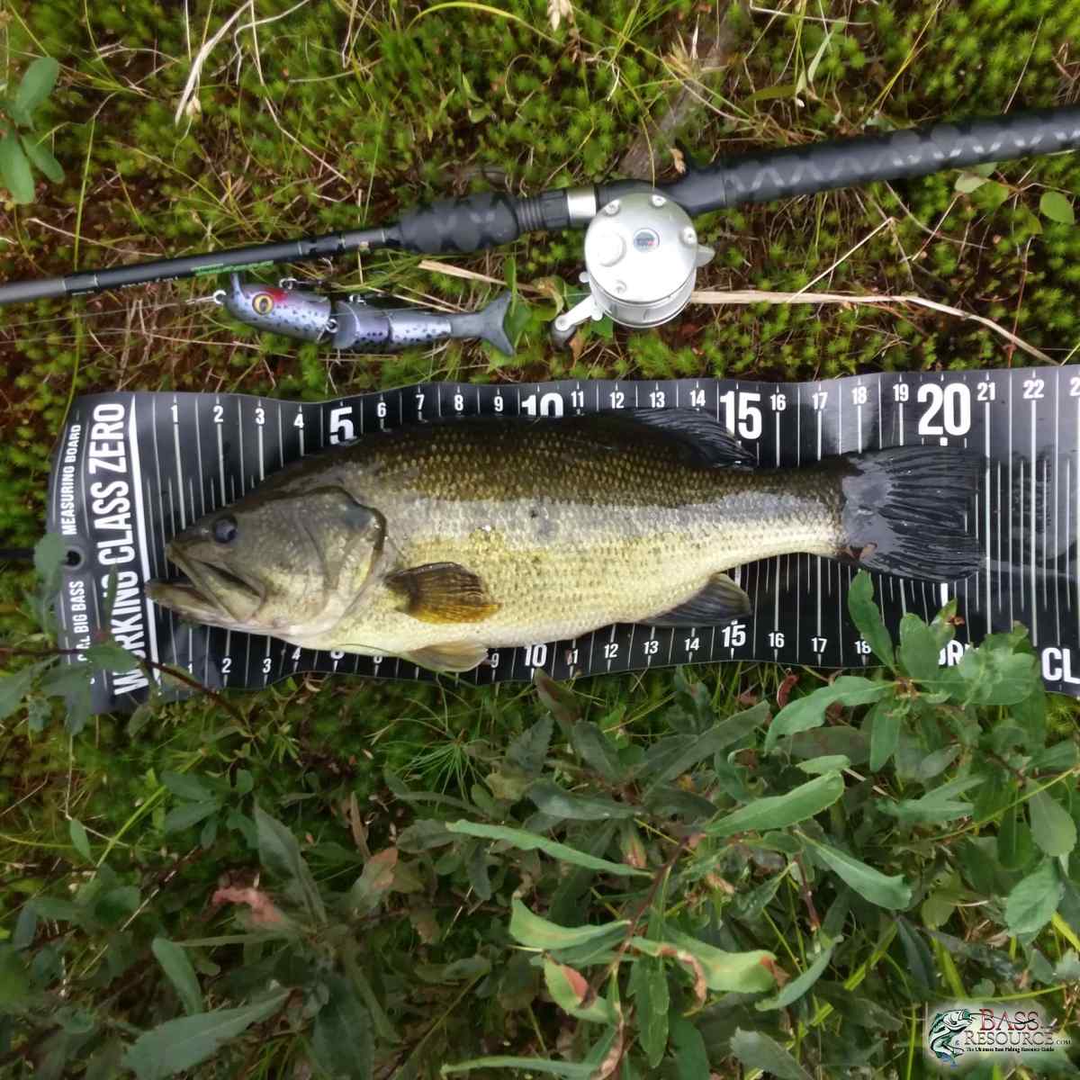 Harshwaters