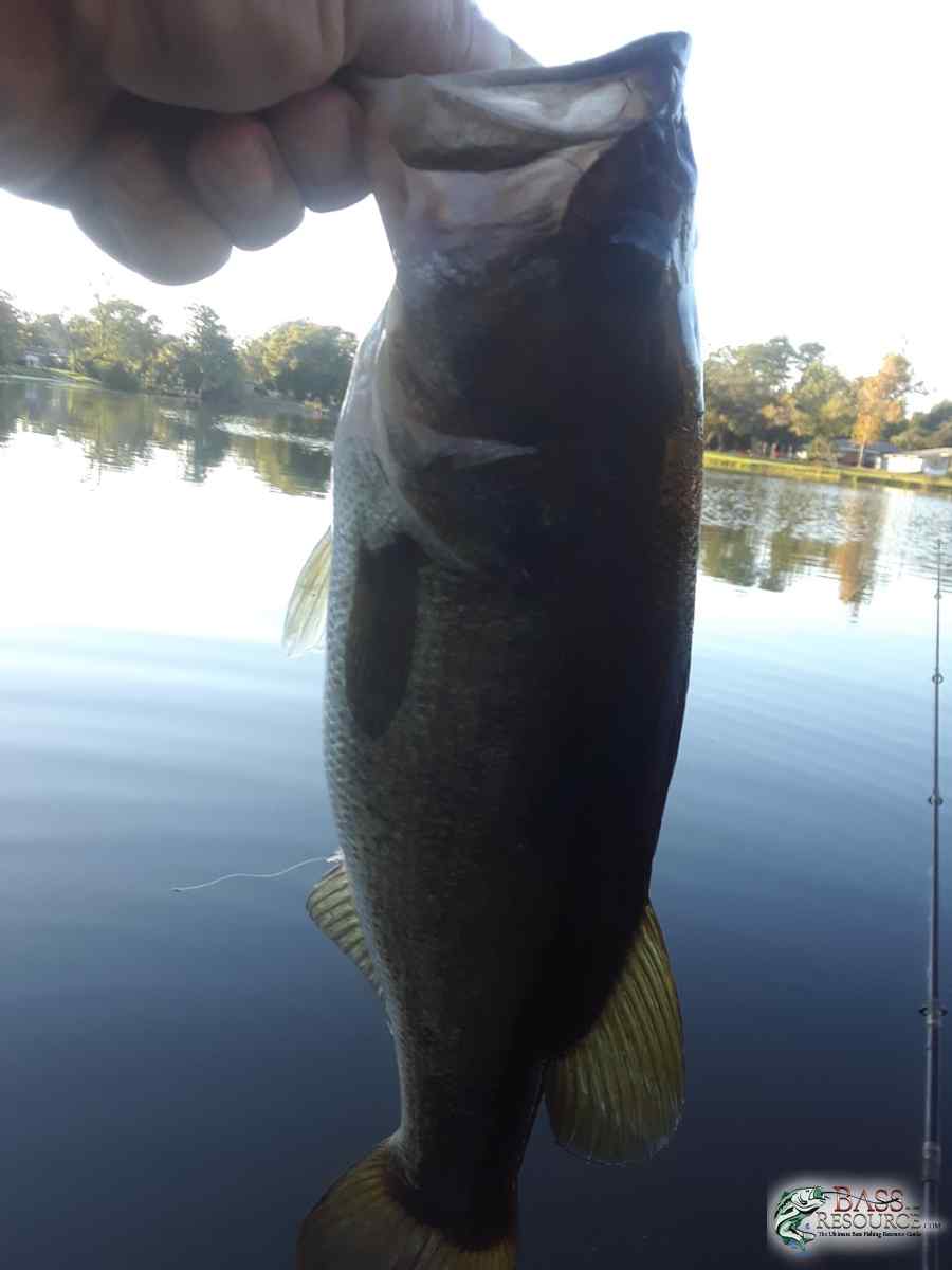 20181028_174110-966x1288.jpg