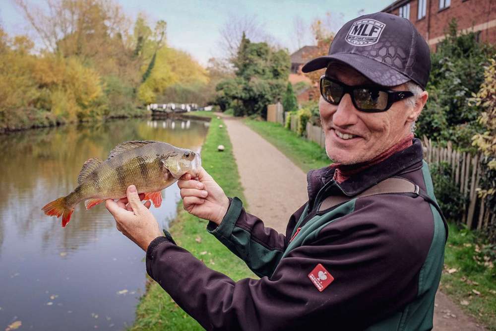 canal perch 2.jpg