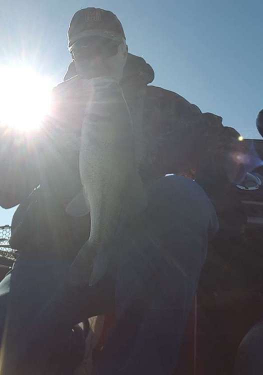 942608141_lacygne1116_1.thumb.jpg.0dfc82758a757b284fc12b7973809473.jpg