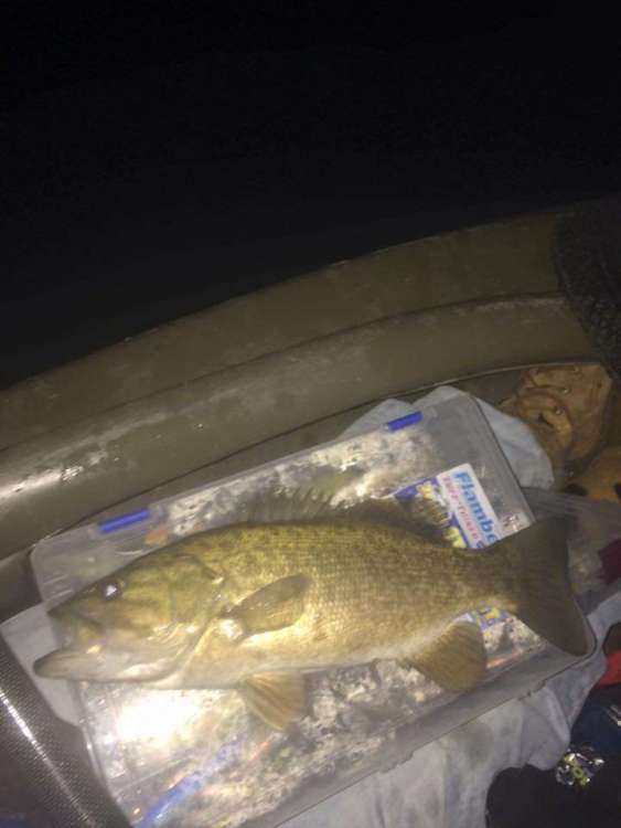 night box smallie.jpg