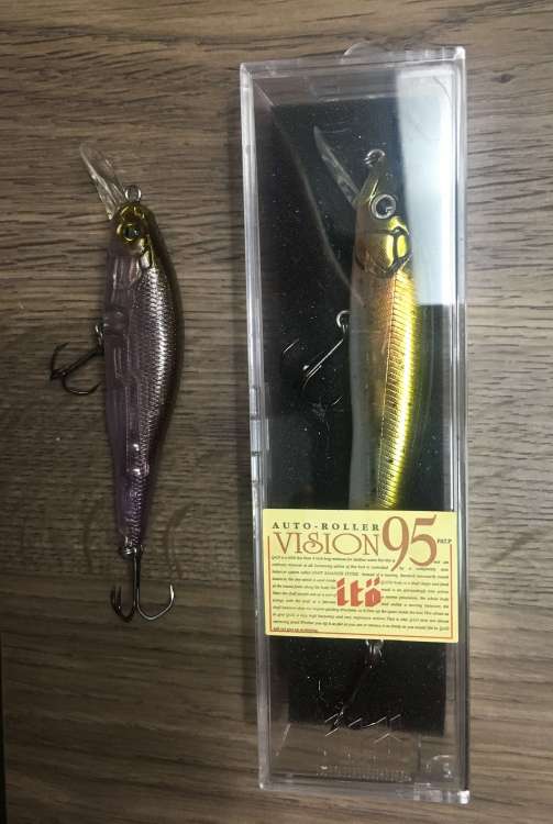 Vision 95.jpg