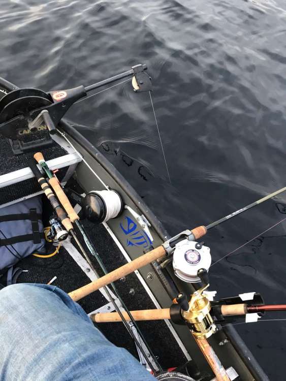 Rod Holders - Bass Boats, Canoes, Kayaks and more - Bass ...