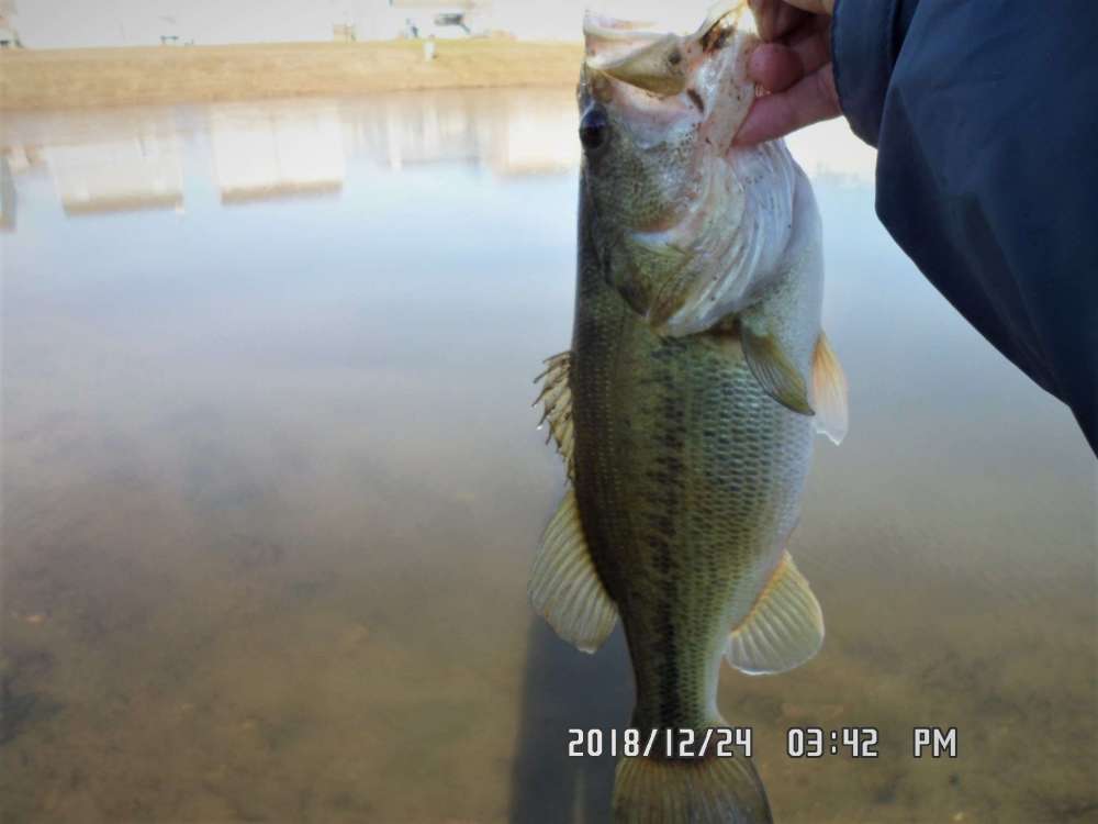 SAM_0280.JPG