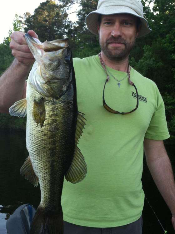 fish.jpg