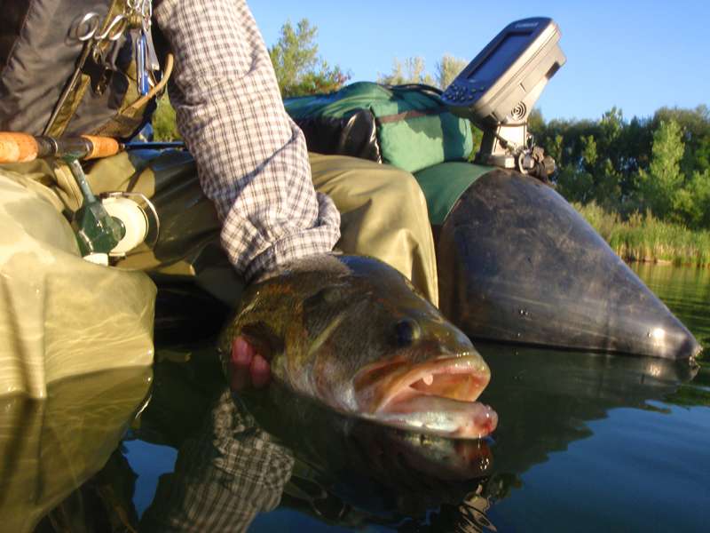 1496792362_FloatTubeBass800.jpg.5994c0d24a483ee27687c6859db1d61b.jpg