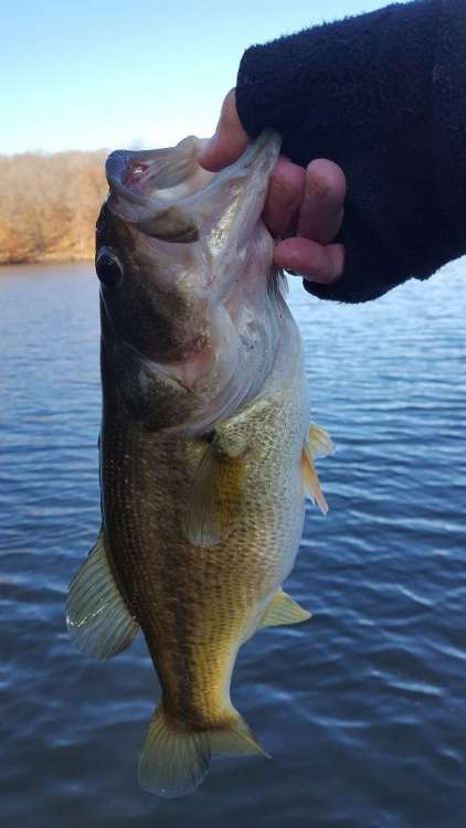 20190104_103103_2.thumb.jpg.421515641491907ab9ef8f2e9f227e2c.jpg