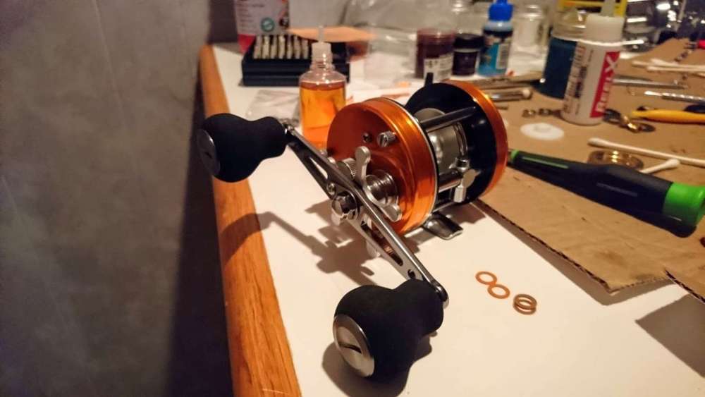 5600custom.JPG