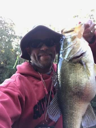 Spinner Bait Popularity - Fishing Tackle - Bass Fishing Forums