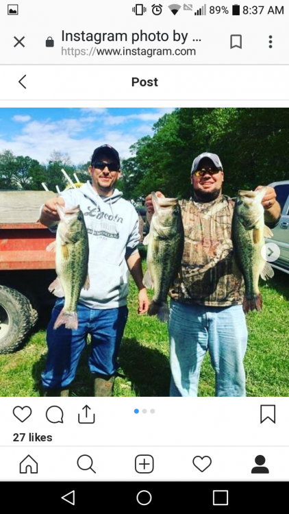 Screenshot_2019-01-21-08-37-49.png