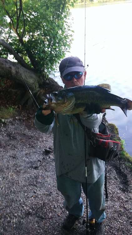 bass11.thumb.jpg.d575da8182718c73552698557ad14f61.jpg