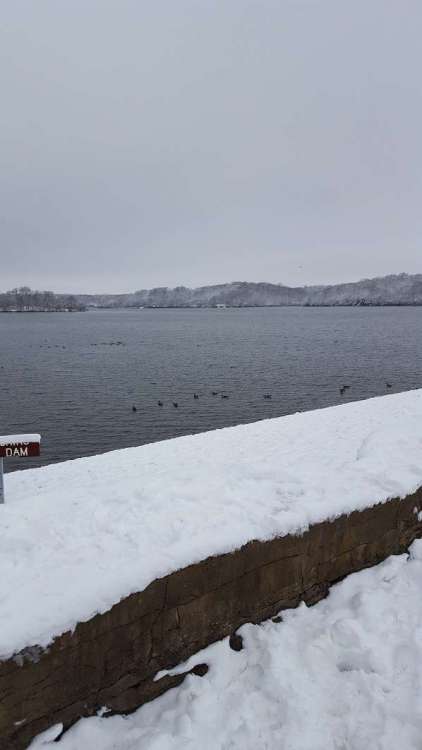 dotte_dam.thumb.jpg.fb8a132dc0fcf45417859e5cf412765b.jpg