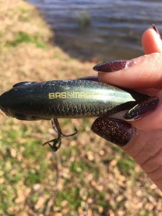Lure 1.jpg