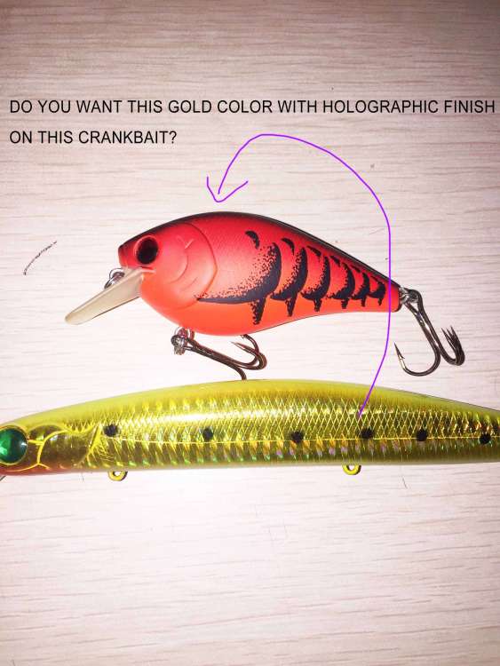 speed shad already made.jpg